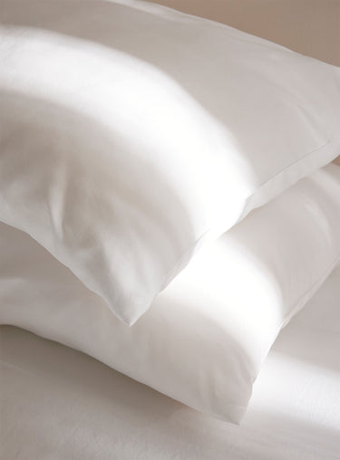 Evolution pillow